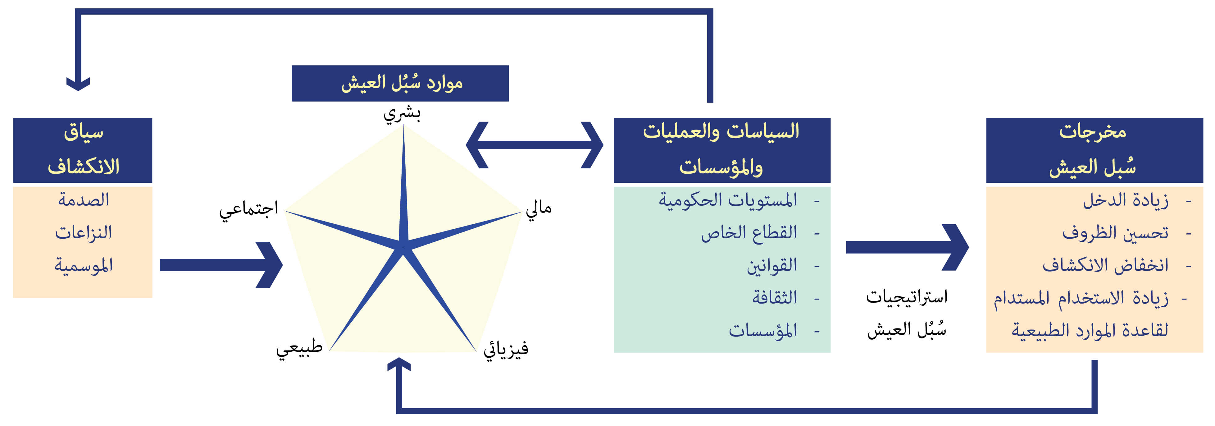 صورة الشكل 2
